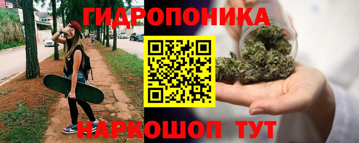 Калининград  Каннабис планчик  Бошки марихуана марихуана  Каннабис Bruce Banner  Вход с VPN 